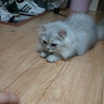 ★은혜와 감사의 마음을 담아... 정말 감사합니다. ^ㅇ^★