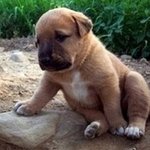 직장인 책상 정리의 달인 우리 <b>대리</b>님