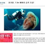 컵라면 엎음