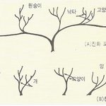 창조론은 과학적으로 증명할 <b>수</b> 있을까?