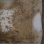 우리나라 양돈환경의 문제점