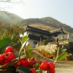 <사진有> 20대 처녀, 시 <b>to</b> the 골"