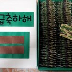 사진有)  군복쏠라씨완성 !