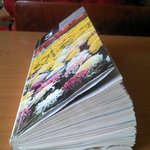 ★★★★★종이시대! 우리는 교과서 꽃<b>n</b>베게이다★★★★★