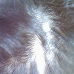 조언해주세요 저는지금 <b>식모</b> 살이를 하고있어요