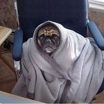 침구세트와 보일러가 난방비를 잡아준대요