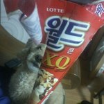 사진有★☆★☆<b>월드콘</b> 너무하네요★☆★☆