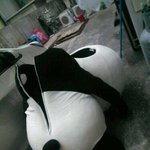 ♥♡♥♡♥♡♥분홍남방에청바지입은판다아저씨♥♡♥♡♥♡♥