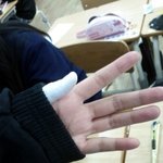 ●●●●●(사진有)한번이라도 풀이란걸 <b>사본</b>적잇는사람 들어와봐●●●●●