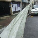 ★★★비오는날우산뒤집어미친짓ㅋㅋㅋㅋㅋㅋㅋ★★★