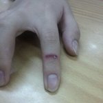 (사진有)★★★★★판순왕 판순이종결반 우리안에판있다.★★★★★