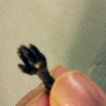 (사진까지有)★★★<b>아가</b>외계인의손바닥★★★(장난감아님)