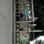 ★★★★미국의 낙서 스케일★★★★★