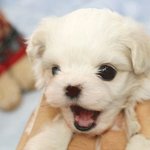 ★★★★★<b>저</b>에게 힘을주세요 (<b>사진</b>有)