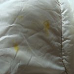 사진有) 옷과 돈, 틴트를 빌려가서 2주째 안주다가 옷에 낙서를...