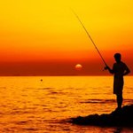 (사진有/ 엄빠주의)★★★<b>대낮</b>에 명동에서 어떤여자가 스트립쇼★★★