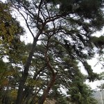 [충남 서산] <b>상왕</b>산 개심사