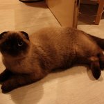 처자의 첫 솔로배낭여행 - 7화 i <b>love</b> paris....?