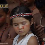 <b>밀림</b>속 배움터, 아마존 주립학교 개관! 