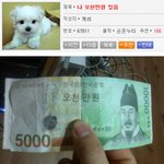 나 알바하다가 오<b>천만</b>원 주음