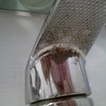 월세의 <b>설움</b> ㅠㅠ