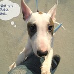 <b>맛점</b>~!!! 하세요.