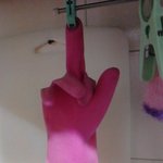 사진有)●●고무<b>장갑</b>의 농락●●