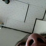 ㅠ사진有)실존인간앵그리<b>버드</b>빵터짐...