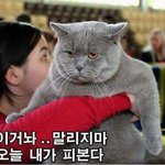 저두 이만 퇴청해보겠습니다~