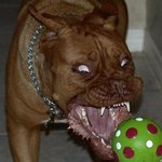 제동생의이야기입니다.