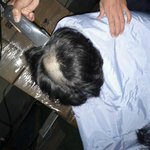 ★사진有★수정★대학 떨어지고 <b>삭발</b>한 내친구.....