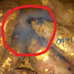 ((사진有)) 이런일을 겪었는데 여러분은 어떻게 대처하시나요?