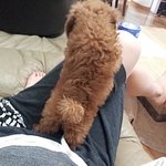 심하게 귀엽고 잘생긴 <b>참치</b>