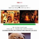 <b>초대</b>형 크리스마스 카드 보내기