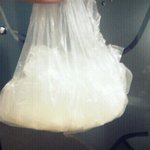 사진有) 나도 쓴다 <b>버섯</b>판!!!