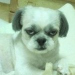 아 진심 남자친구 생겼으면..사진톡되면<b>올림</b>