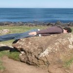 ★★★우리들의  <b>시체</b>놀잌ㅋㅋ★★★