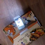 ( 혐오 有) ★★★★★★★★★★★★여자들의 실체 (기숙사편) ...