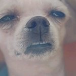 <b>불금</b>이 뭔가요?