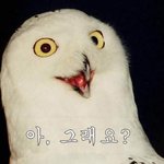 ☆★판볼때마다꼭있는사진들★☆