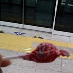 ★(사진有有)12월 7일에 혼자 외로이 <b>놀러</b>감★