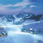 겨울, 영하의 날씨. 주말에 무엇을 해야 하나.ㅠㅠ