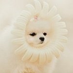 사진추가++)★★★★12월31일 우리의 600일日★★★★