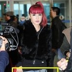 <b>yg</b> <b>패밀리</b>의 호피 무늬 패션 모음