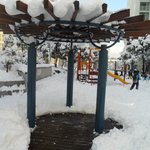 ★★★너넨 훈녀만들기? 우린 트리만들기!!★★★