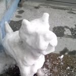<b>사진</b>有)<b>눈</b>으로 귀여운 강아지 만들기★★★