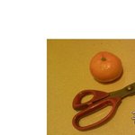 ★조금혐오 쉬운 귤<b>벌레</b>만들기!★