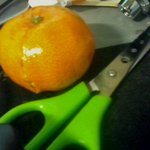 ★☆★☆★☆귤<b>벌레</b> 만들기 ⊙▽⊙ ☆★☆★☆★☆★