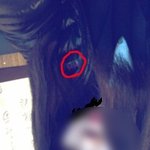 수정)노스페이스면 다인가요?