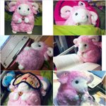 사진有★★★★룸메들의<b>발칙</b>한카톡납치사건★★★★